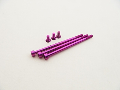 Hiro Seiko Yokomo DX1/ReveD Absolute1 Aluminum Motor Screw Set (Purple) 1 48682
