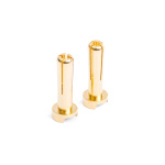 MIBO Gold Plugs - 4mm (2 unidades)