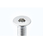Reve D acero inoxidable FH tornillo (M3×8mm, 10 unidades) - Imagen 2