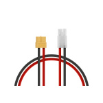 Kavan XT60 cable de carga Tamiya dorado