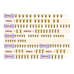 T-Work's Gold Plated acero juego de tornillos para Awesomatix A800R (123 unidades)